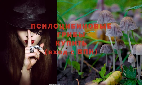 мдпв Наволоки