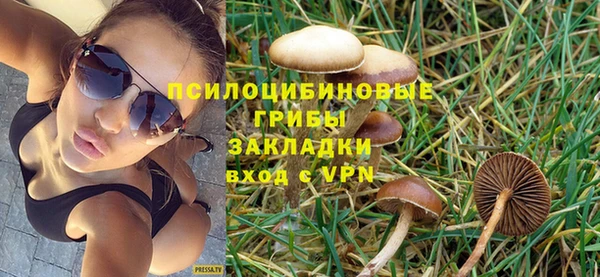 мдпв Наволоки