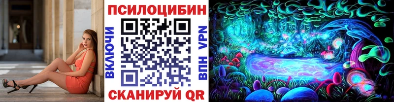Галлюциногенные грибы Psilocybe  Голицыно 